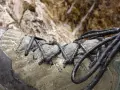 Zbliżenie na mokry, zielony but trekkingowy z czarnymi sznurówkami na tle kamieni.