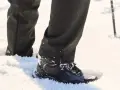 Iguana buty - co to za firma i dlaczego warto je znać?