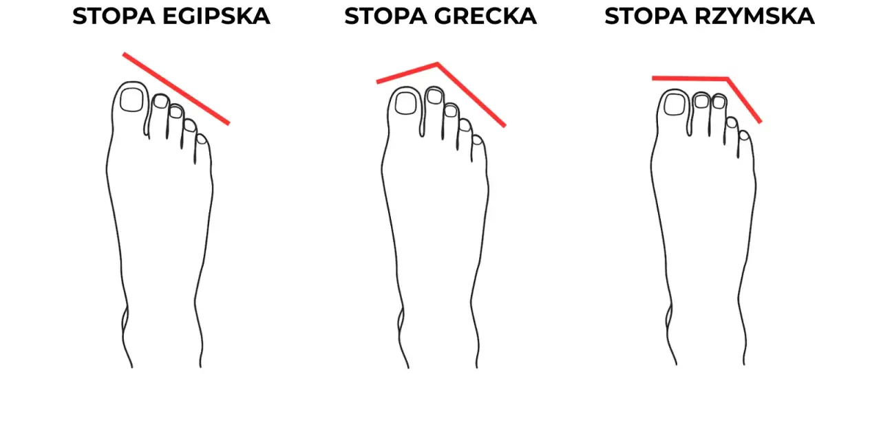 Ilustracja przedstawia trzy rodzaje stóp: egipską, grecką i rzymską, z zaznaczonymi liniami pokazującymi kształt palców.