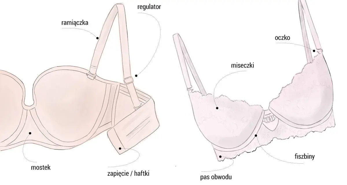 Ilustracja pokazuje budowę biustonosza, w tym miseczki, ramiączka i fiszbiny. Idealny rozmiar stanika d.