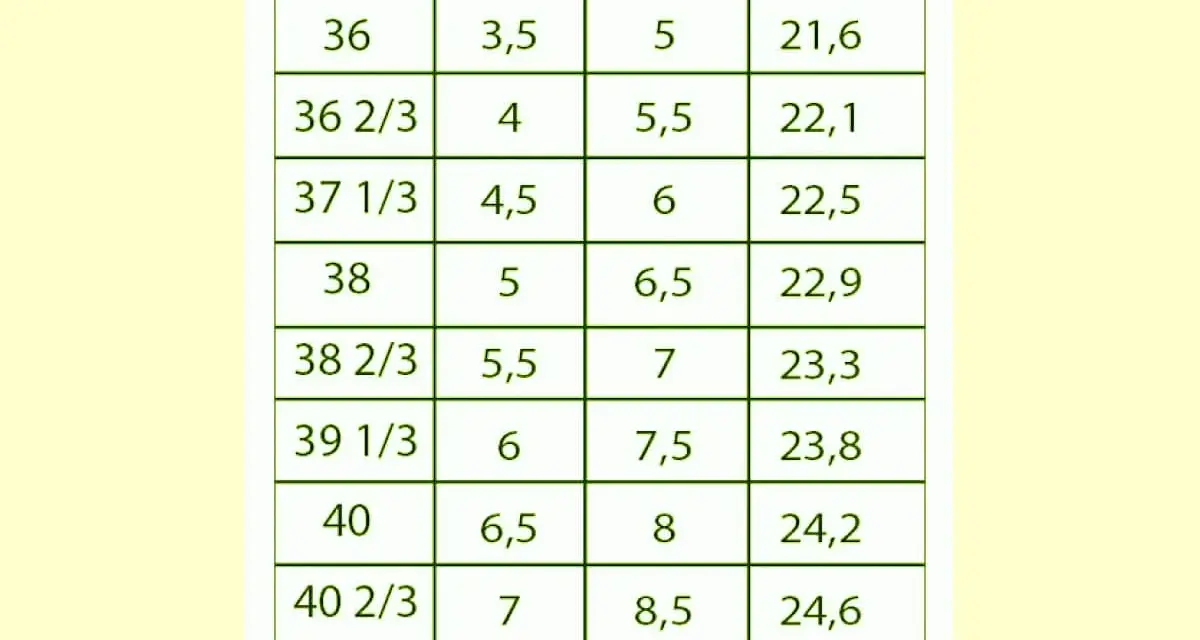 Tabela rozmiarów obuwia: 8,5 US to 40 2/3 EU i 24,6 cm.