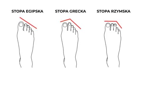 Ilustracja przedstawia trzy rodzaje stóp: egipską, grecką i rzymską, z zaznaczonymi liniami pokazującymi kształt palców.
