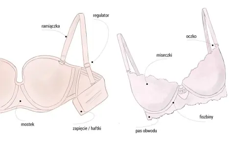 Ilustracja pokazuje budowę biustonosza, w tym miseczki, ramiączka i fiszbiny. Idealny rozmiar stanika d.