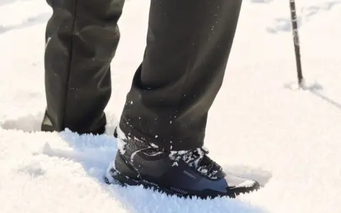 Iguana buty - co to za firma i dlaczego warto je znać?