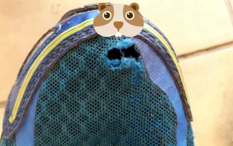 Jak reklamować buty - uniknij problemów z wadliwym obuwiem