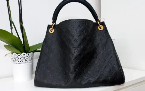 Z czego wykonane są torebki Louis Vuitton? Odkryj materiały i jakość