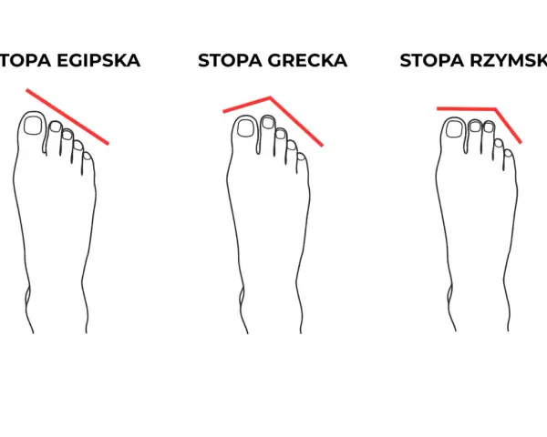 Ilustracja przedstawia trzy rodzaje stóp: egipską, grecką i rzymską, z zaznaczonymi liniami pokazującymi kształt palców.