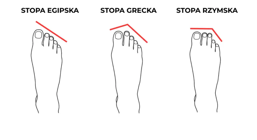 Ilustracja przedstawia trzy rodzaje stóp: egipską, grecką i rzymską, z zaznaczonymi liniami pokazującymi kształt palców.
