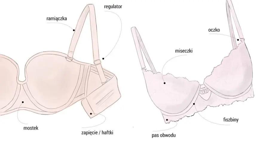Ilustracja pokazuje budowę biustonosza, w tym miseczki, ramiączka i fiszbiny. Idealny rozmiar stanika d.