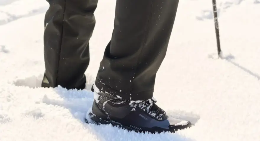 Iguana buty - co to za firma i dlaczego warto je znać?
