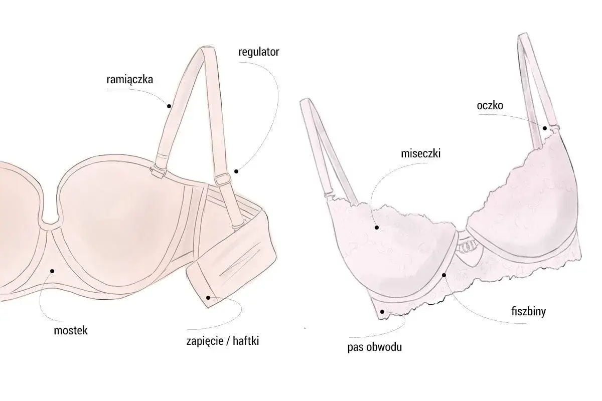 Ilustracja pokazuje budowę biustonosza, w tym ramiączka, miseczki i fiszbiny. Idealny rozmiar stanika d to podstawa komfortu.
